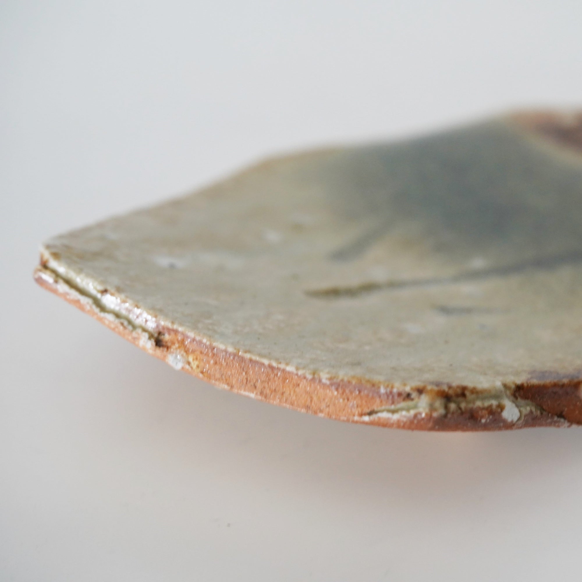 Iga leaf plate