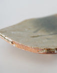 Iga leaf plate