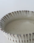 Shirokaratsu Sabjugusa 扭 4.5 碗
