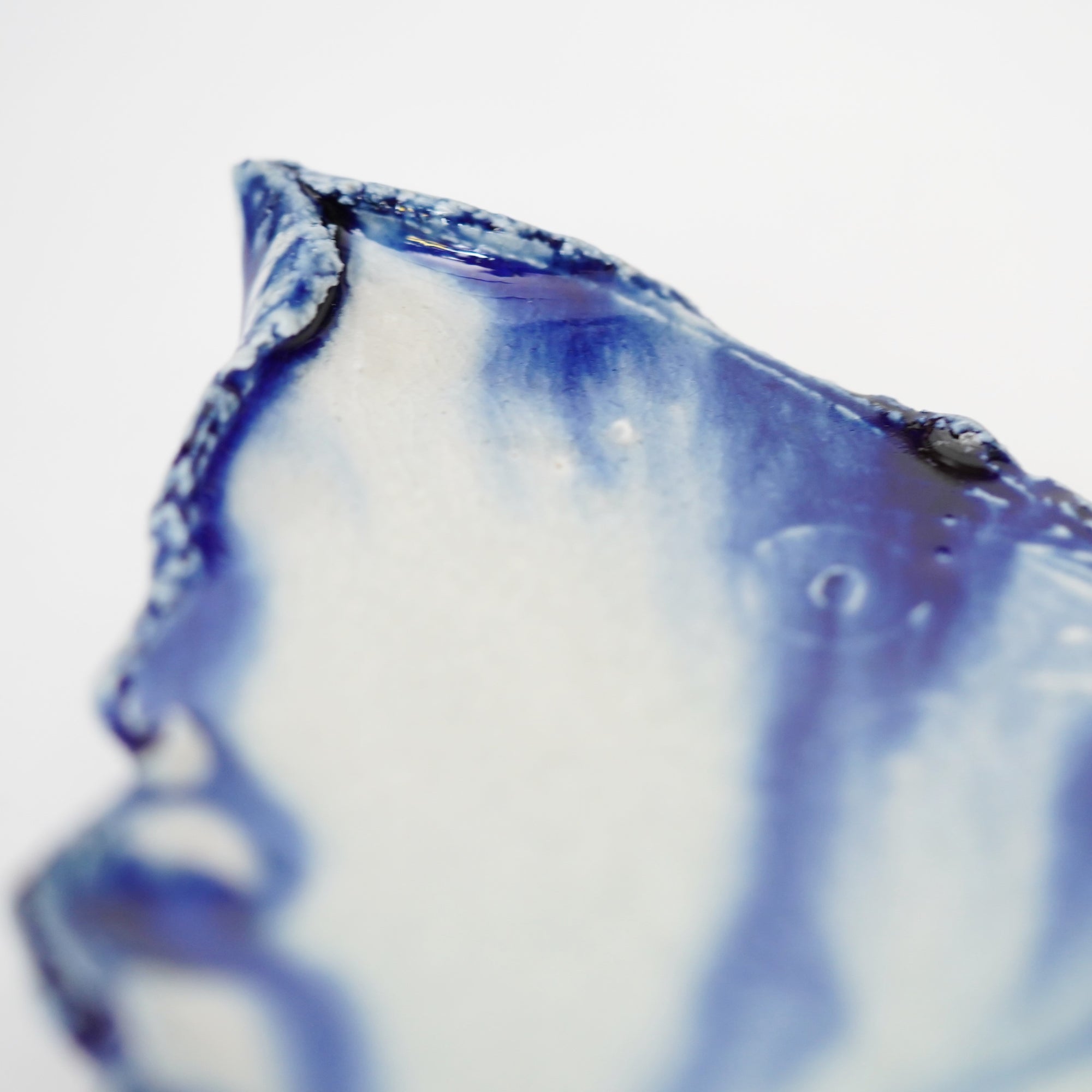 【山口真人】御深井蝶形向付