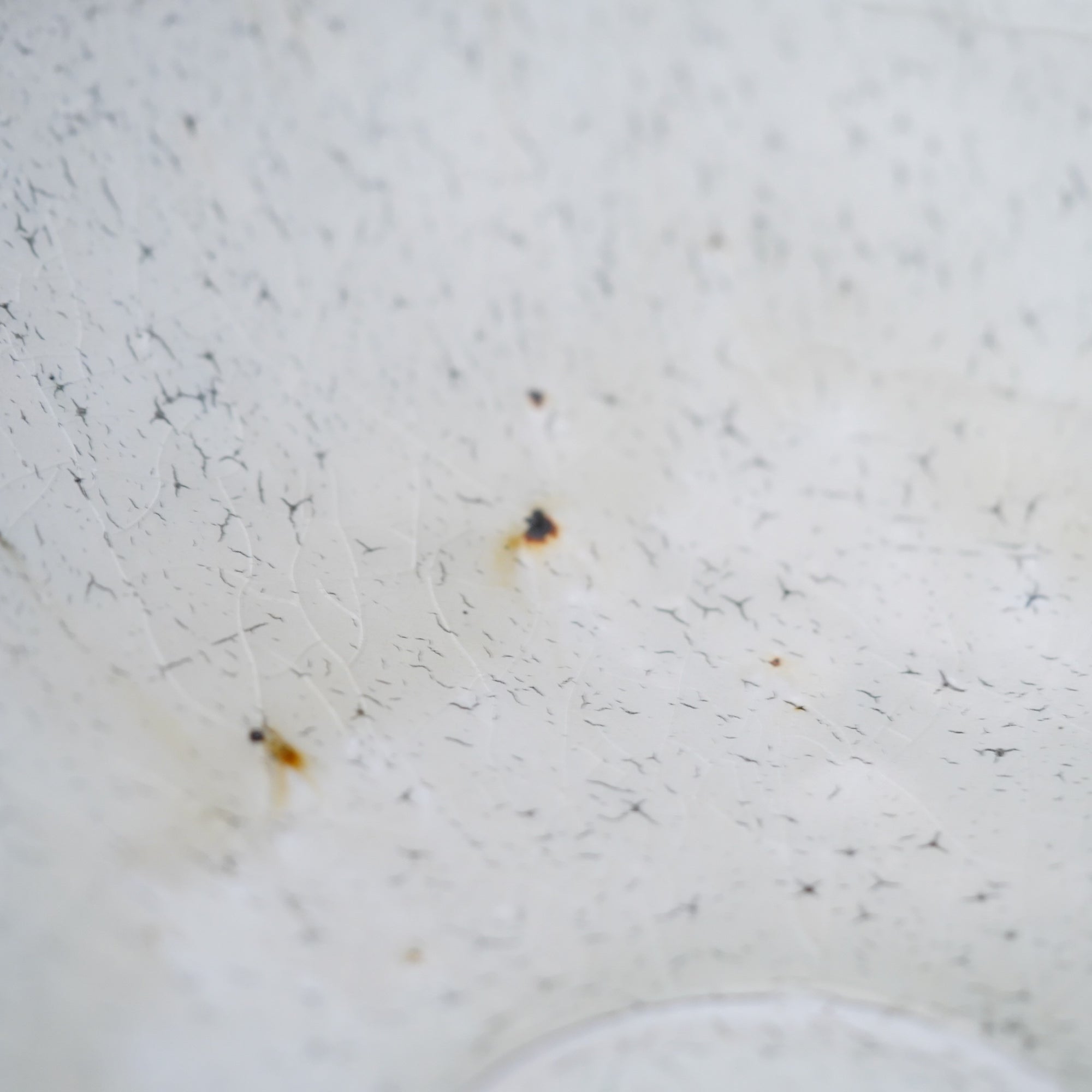 【Tomohiro Suzuki】Glass glazed 8sun deep plate