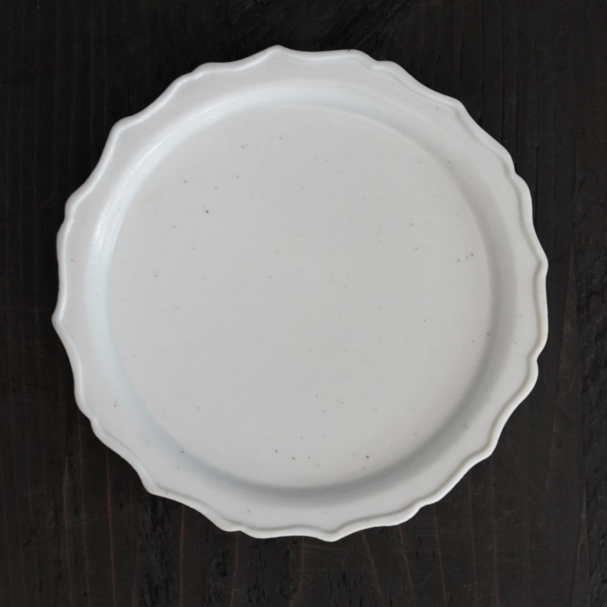 【文书画】白瓷5寸花缘盘