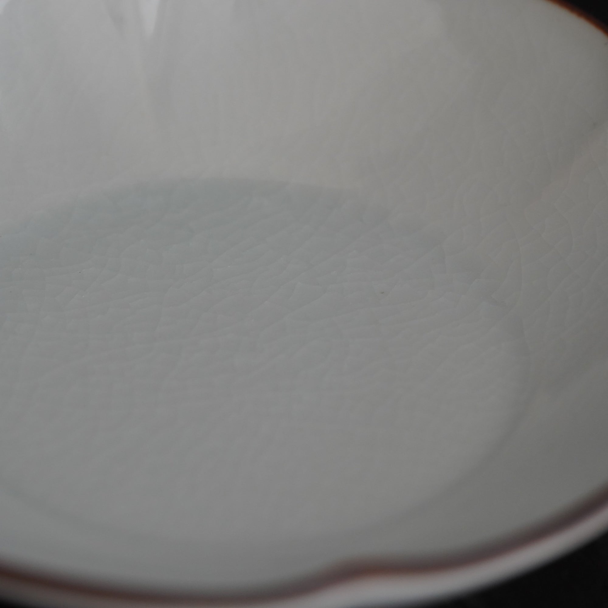 WABI 3.7 inch brim plate