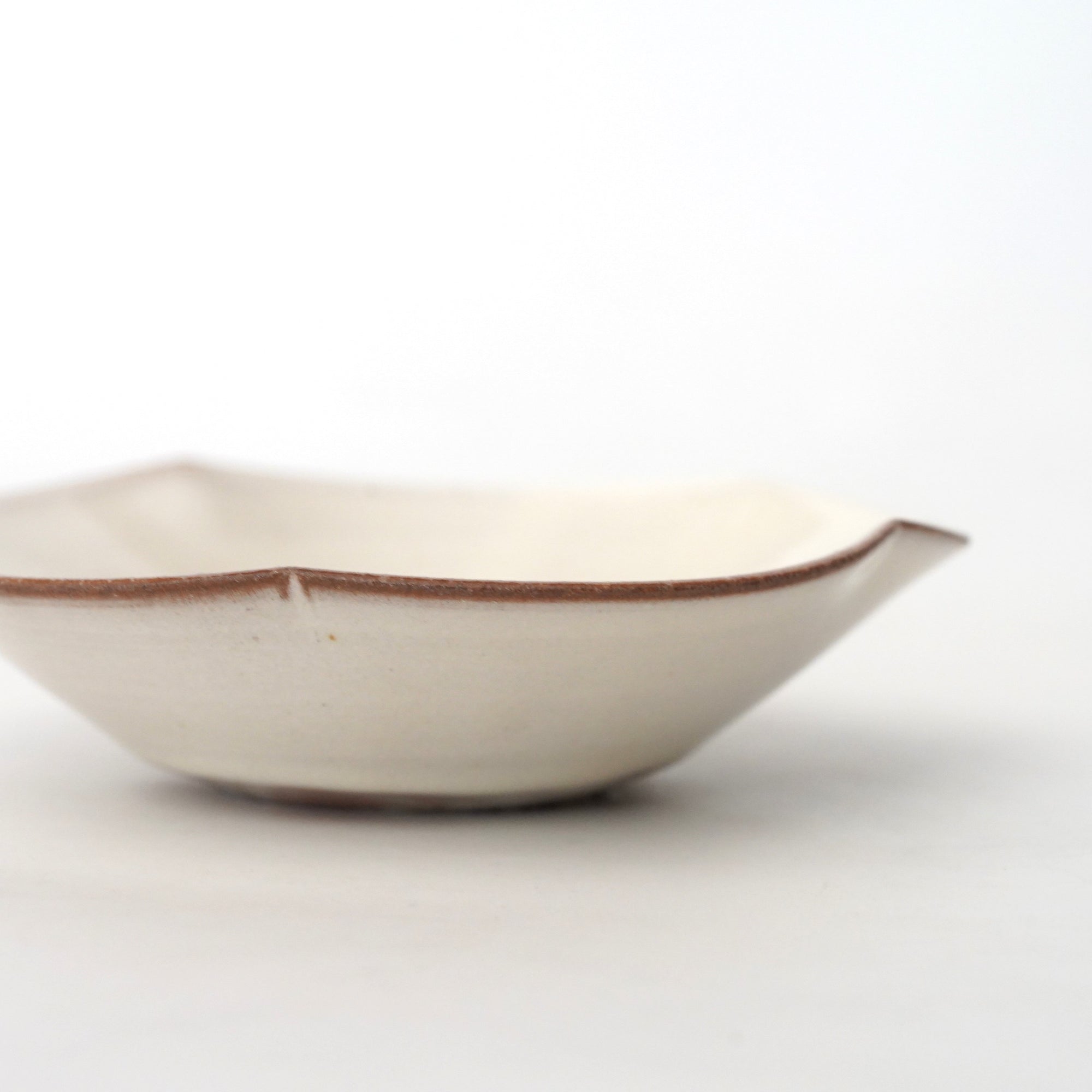 【Fuminari Araga】Kohiki round flower shaped flat Mukou-zuke