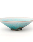 turquoise shallow bowl