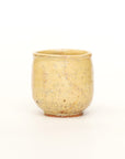 【Kazuhiko Kudo】White birch white udon noodle bowl