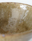 【Tomohiro Suzuki】Glass glazed big bowl