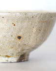 【Tomohiro Suzuki】Glass glazed big bowl
