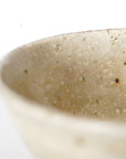 【Tomohiro Suzuki】Glass glazed big bowl