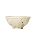 【Tomohiro Suzuki】Glass glazed big bowl