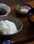 【Tomohiro Suzuki】Glass glazed big bowl