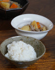 【Tomohiro Suzuki】Glass glazed big bowl