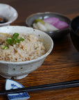 【铃木智寻】玻璃釉盖饭