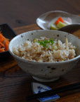 【铃木智寻】玻璃釉盖饭
