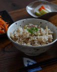 【铃木智寻】玻璃釉盖饭