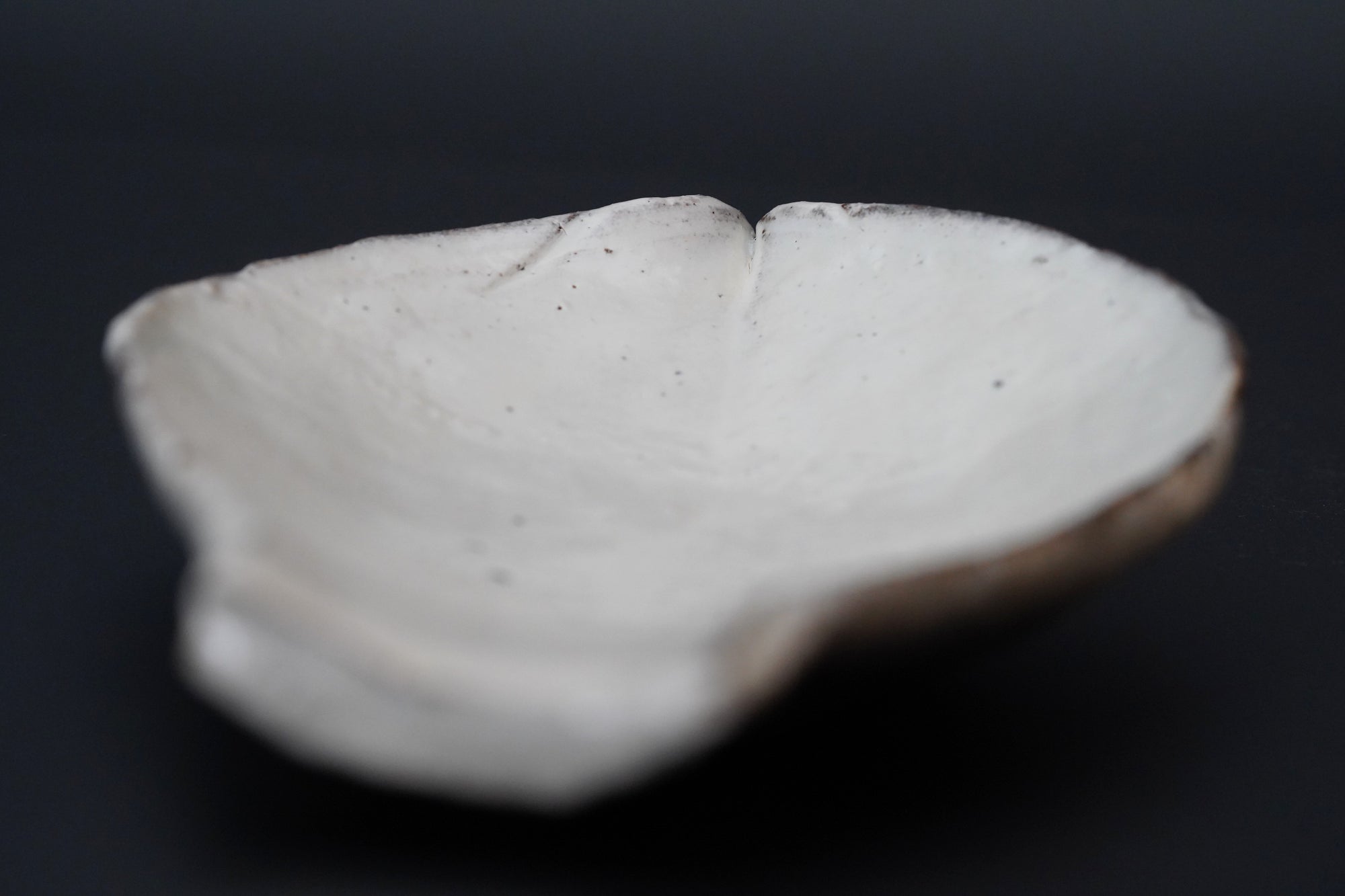 【辻村 塊】粉引向付 蓮弁