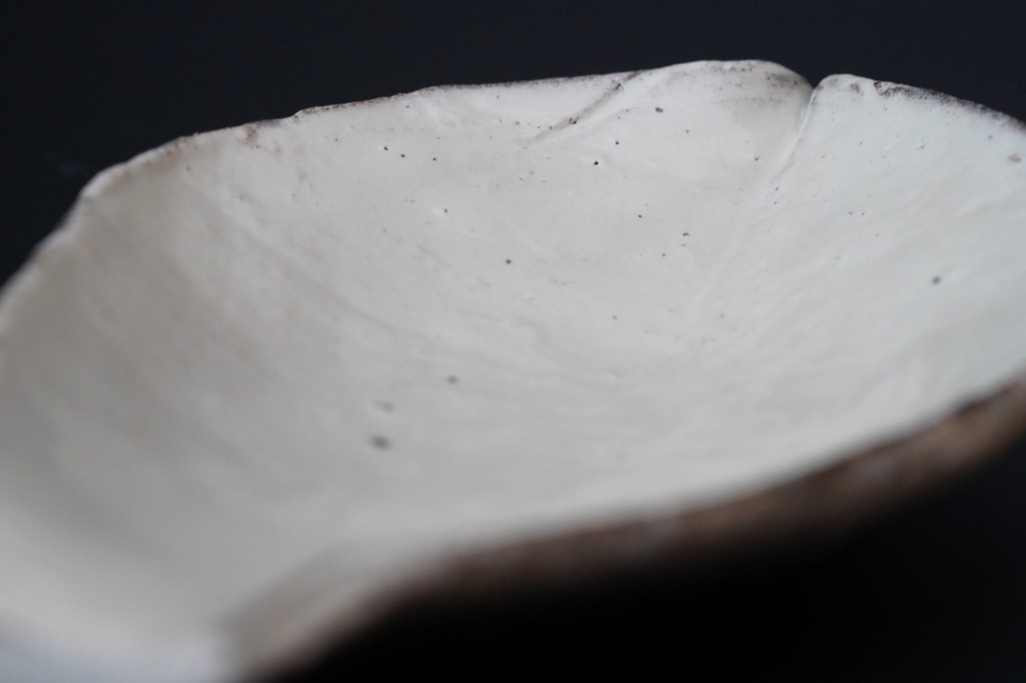 【辻村 塊】粉引向付 蓮弁