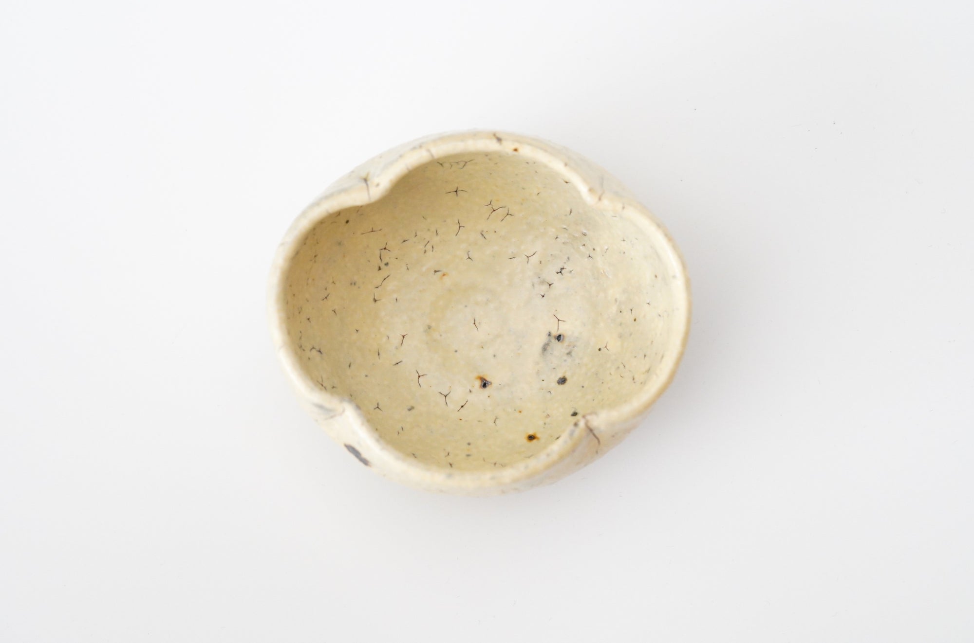 【工藤和彦】白桦白木瓜豆钵