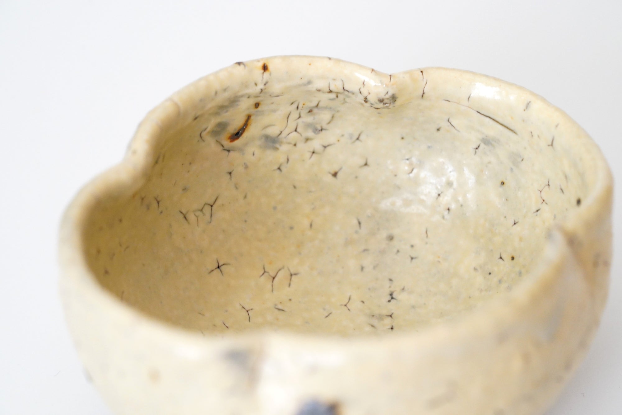 【工藤和彦】白桦白木瓜豆钵