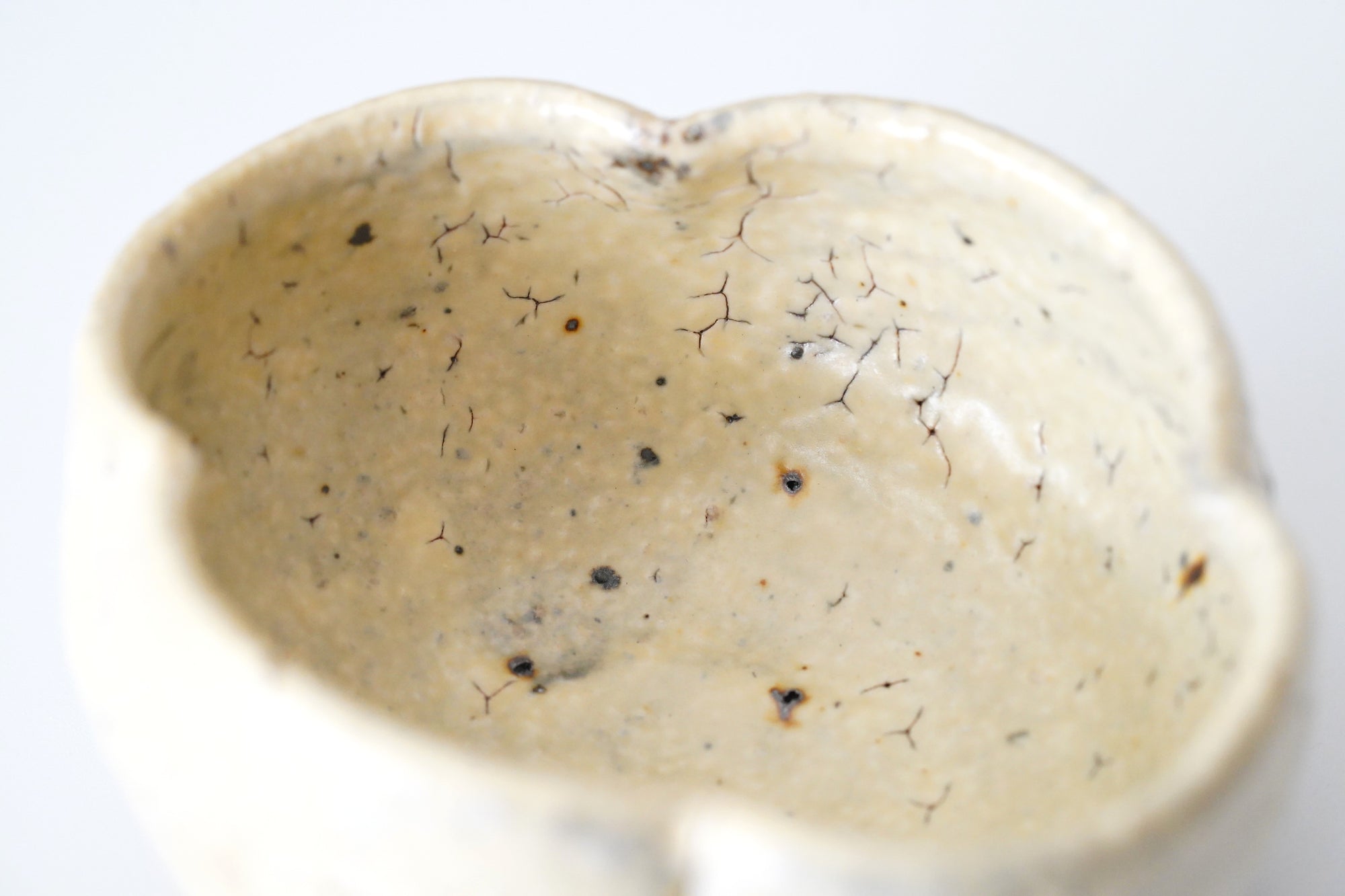 【工藤和彦】白桦白木瓜豆钵