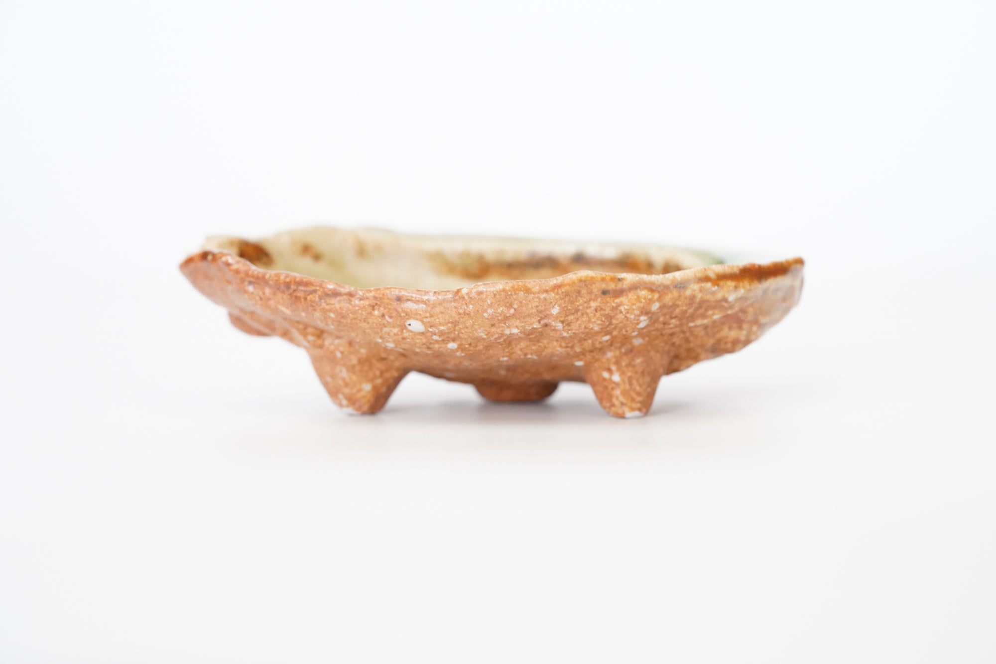 Abalone with small side