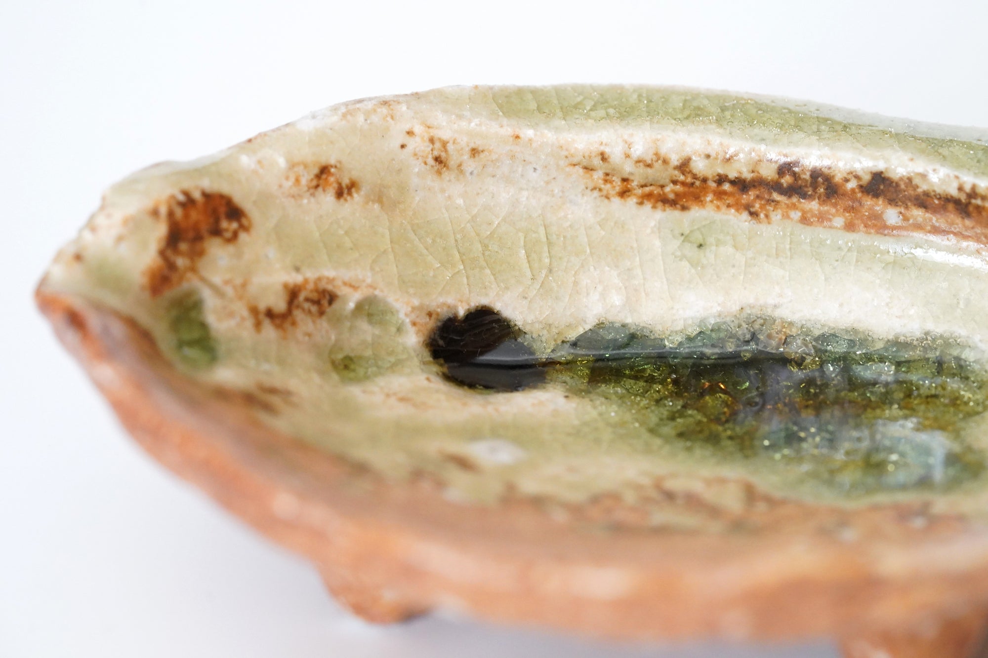 Abalone with small side