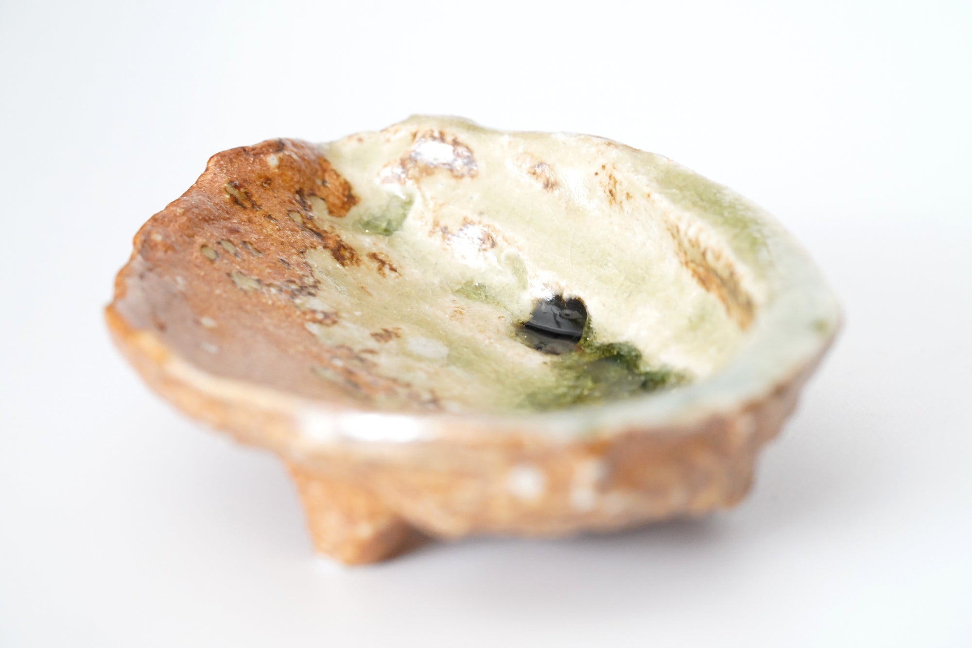 Abalone with small side