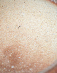 【Hiroyumi Suzuki】Shigaraki shell shaped small plate