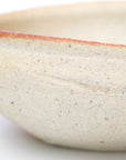 【Hiroyumi Suzuki】Shigaraki shell shaped small plate