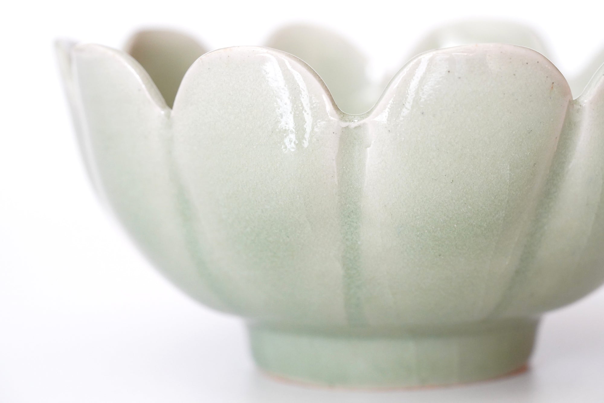 【岡本作礼】翠青唐津十弁鉢