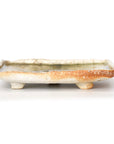 【Hiroyumi Suzuki】Shigaraki shell shaped small plate
