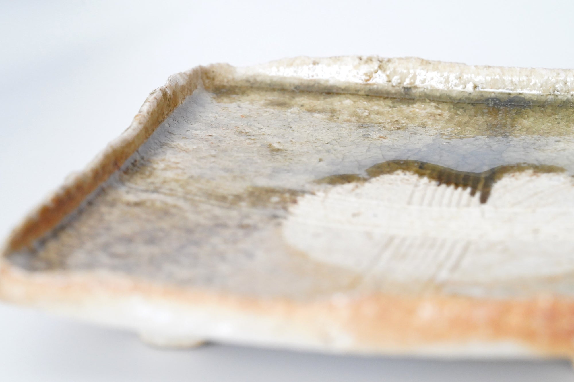 【Hiroyumi Suzuki】Shigaraki shell shaped small plate