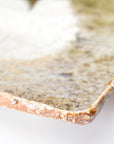 【Hiroyumi Suzuki】Shigaraki shell shaped small plate