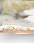 【Hiroyumi Suzuki】Shigaraki shell shaped small plate