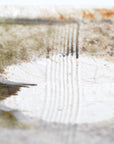 【Hiroyumi Suzuki】Shigaraki shell shaped small plate