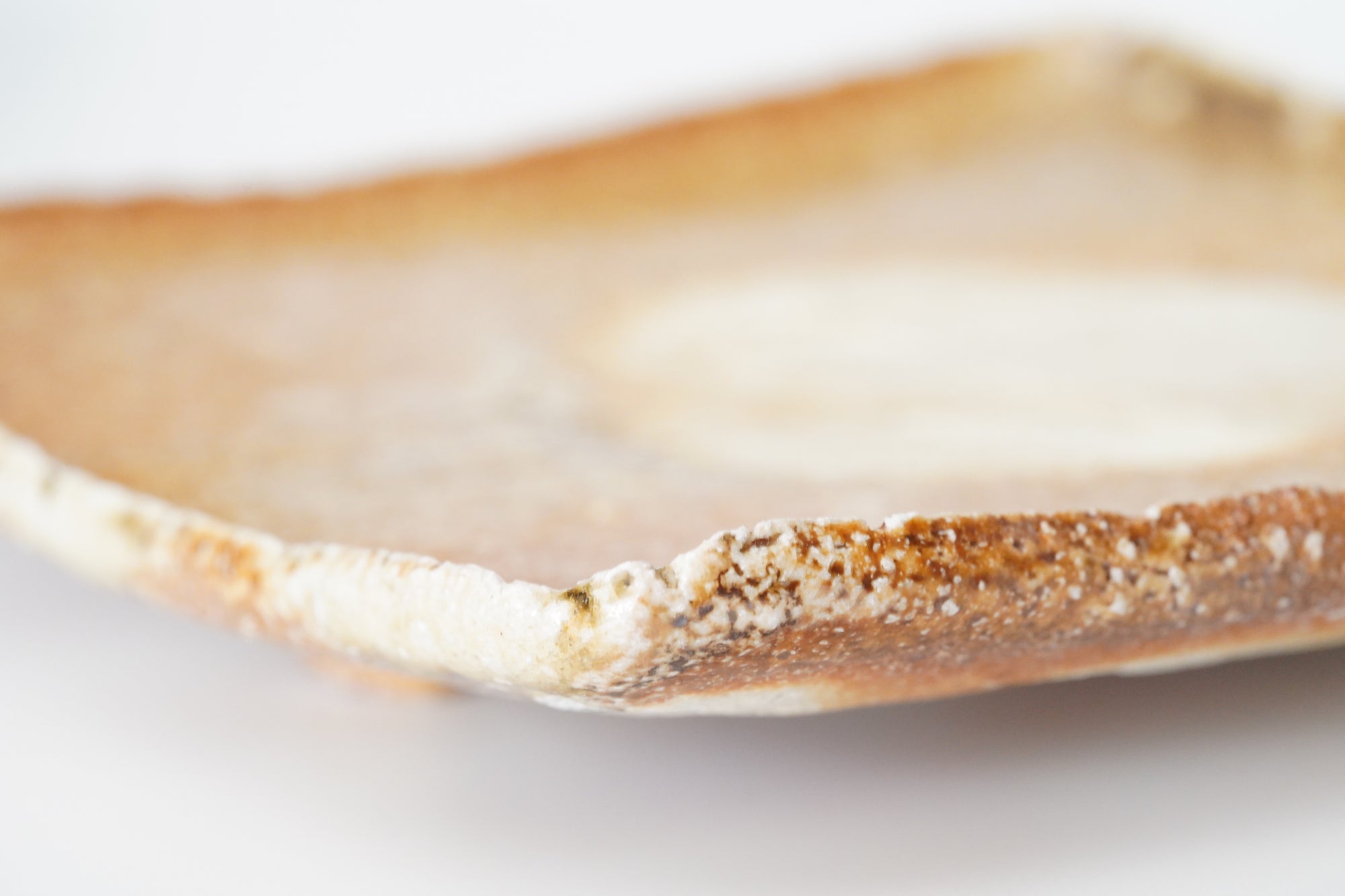 【Hiroyumi Suzuki】Shigaraki shell shaped small plate