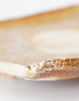 【Hiroyumi Suzuki】Shigaraki shell shaped small plate