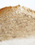 【Hiroyumi Suzuki】Shigaraki shell shaped small plate