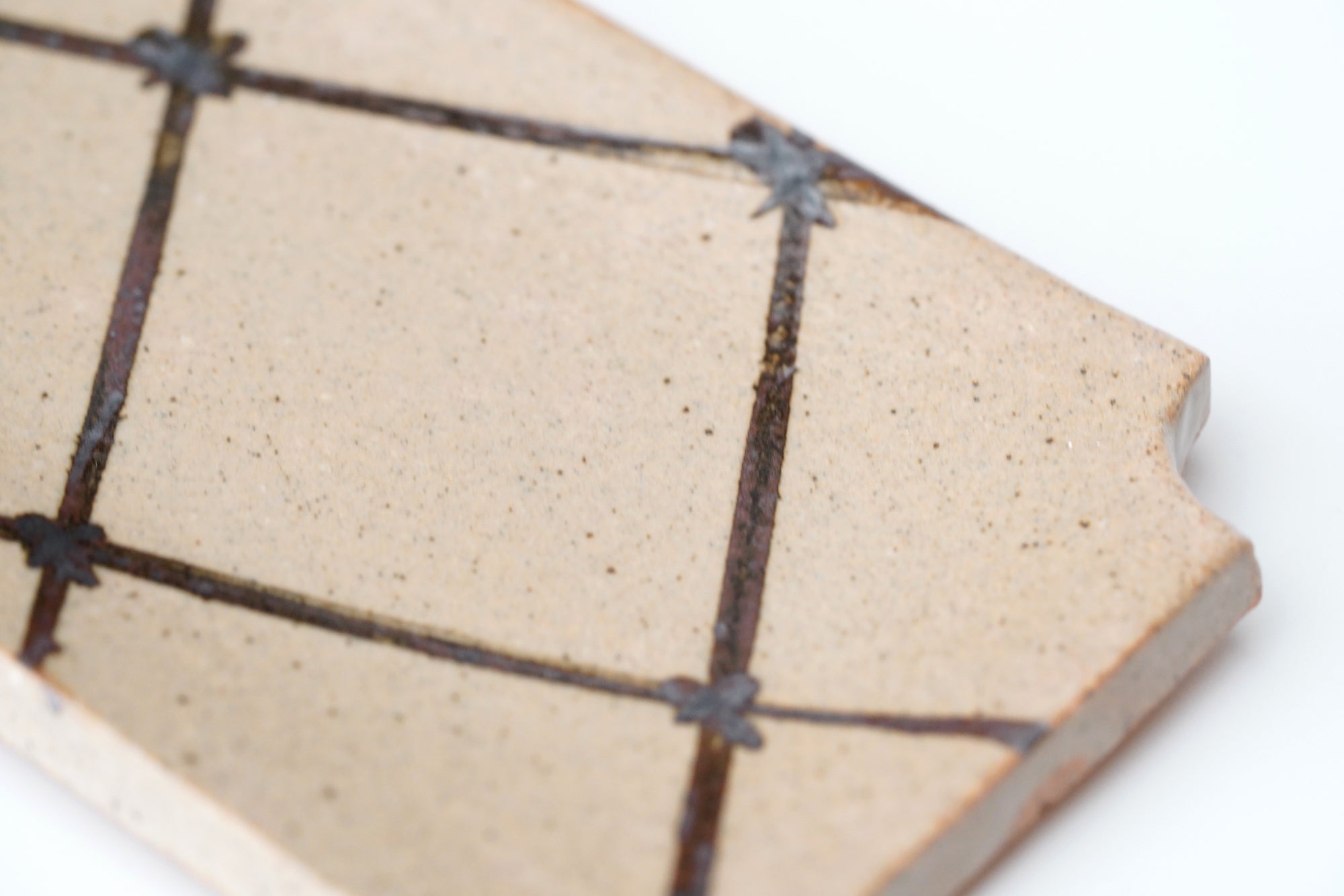 【Rui Mitoh】Ao-Karatsu porcelain plate