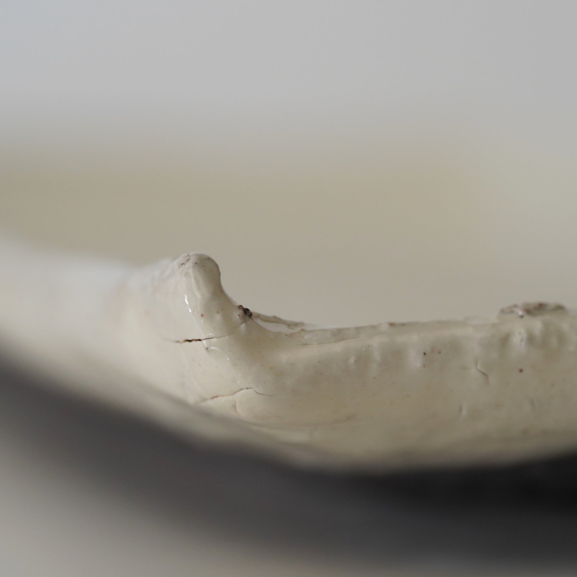 【Kai Tsujimura】Kohiki rectangle plate