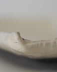 【Kai Tsujimura】Kohiki rectangle plate