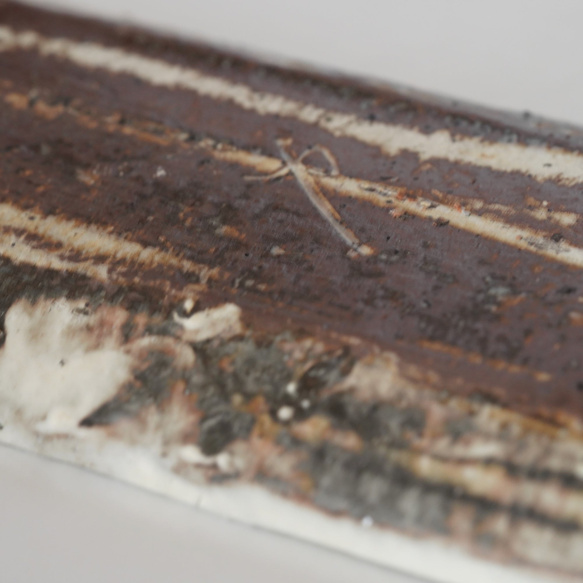 【Kai Tsujimura】Kohiki rectangle plate
