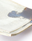 【Shuichi Okamoto】Korean-Garatsu double-plate tray