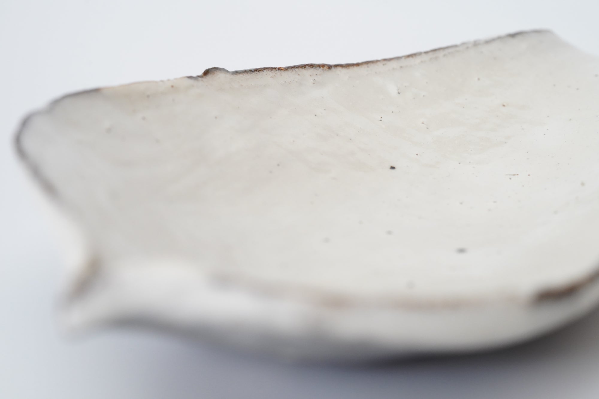 【辻村 塊】粉引向付 蓮弁