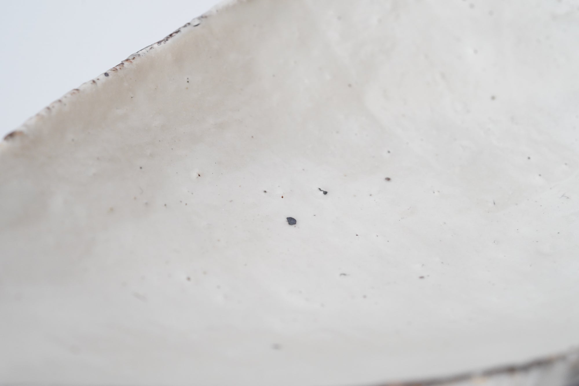 【辻村 塊】粉引向付 蓮弁