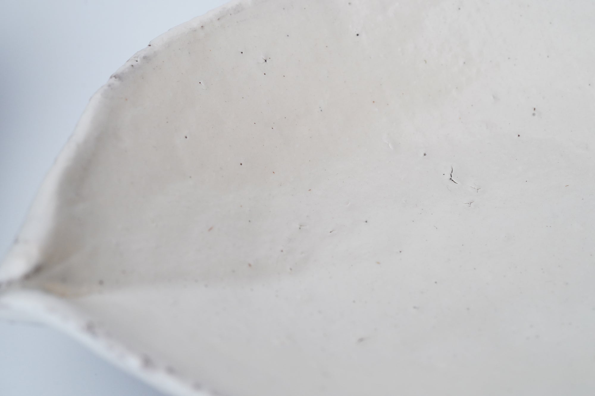 【辻村 塊】粉引向付 蓮弁