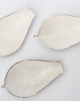 【辻村 塊】粉引向付 蓮弁
