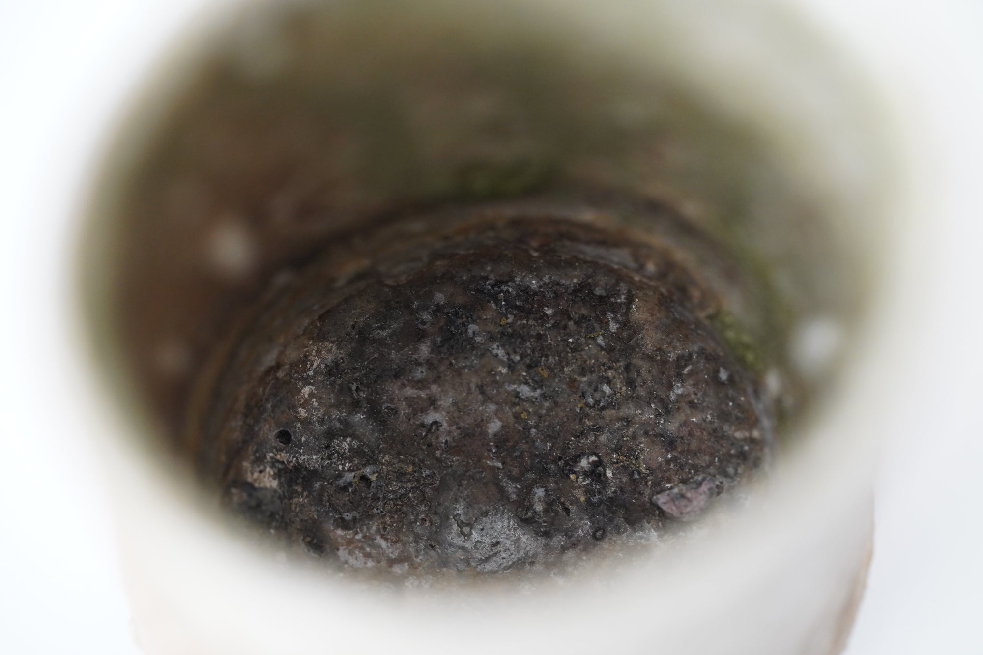 【Kai Tsujimura】Iga tea cup