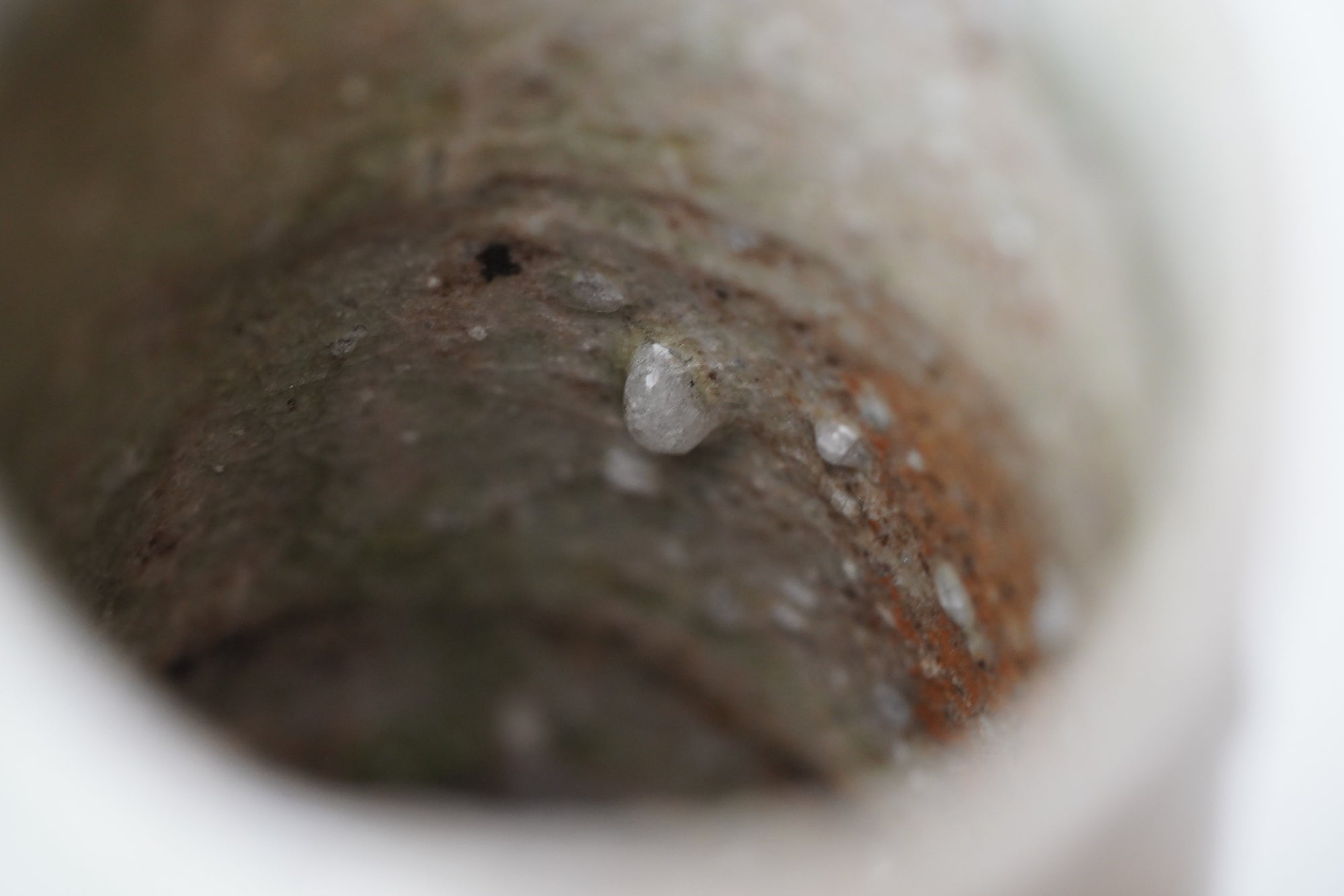 【Kai Tsujimura】Iga tea cup