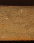 【Shuichi Okamoto】Korean-Garatsu double-plate tray